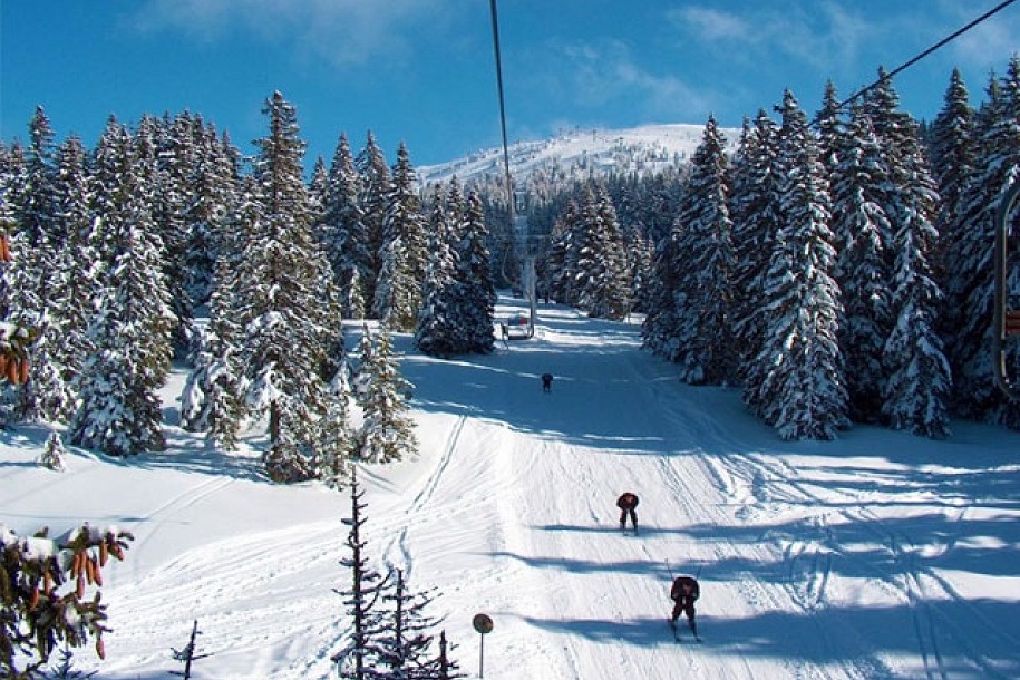 Subotičanima najinteresantniji Kopaonik