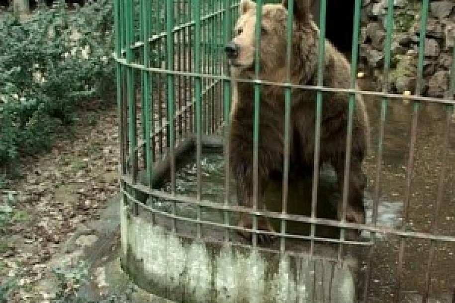 60 godina zoološkog vrta