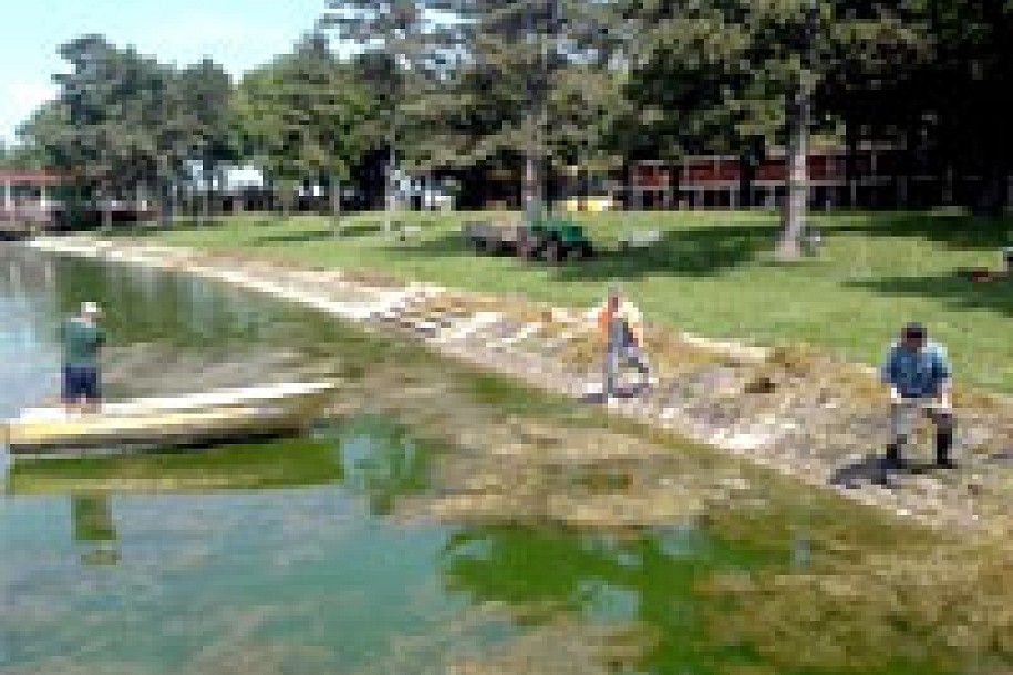 Košenje trave u jezeru Palić