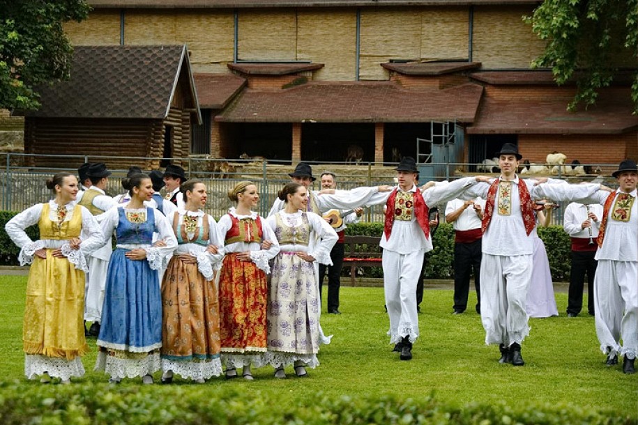 OKUD "Mladost" na novom početku