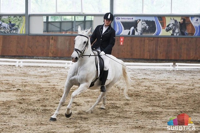 Dresurno jahanje: Održano prvo kolo Otvorene srpske dresurne lige na Ergeli Kelebija