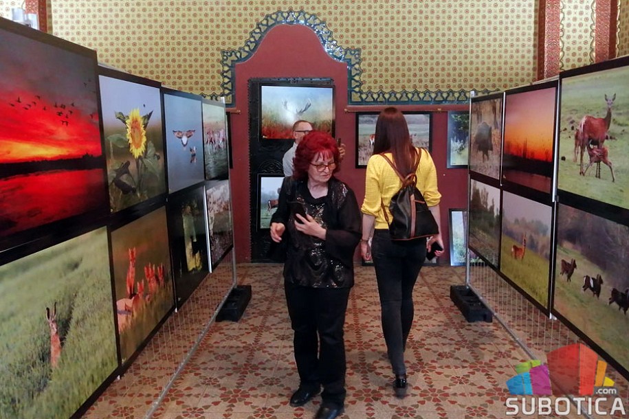 Fotomonografija Raše Perina svedočanstvo o prirodnim lepotama Srbije