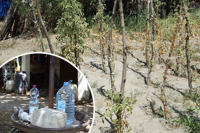 U Tavankutu česme mnogima služe samo za ukras