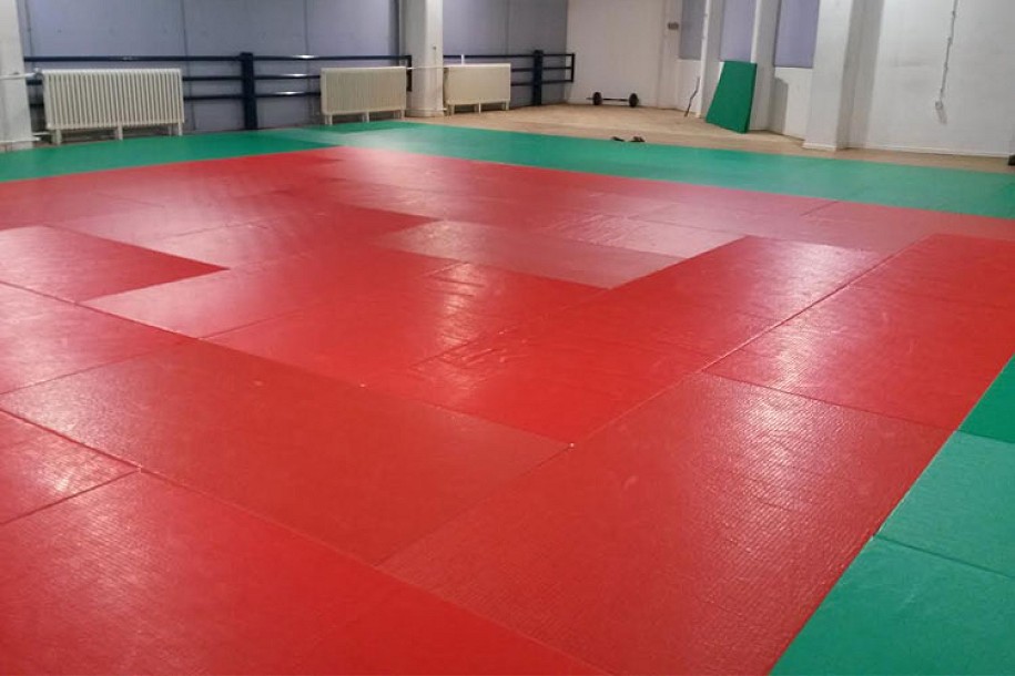 Džudo klub "Spartak" zadovoljan rešavanjem dugogodišnjeg problema