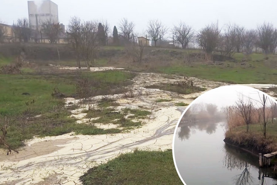 Jezeru u Bajmoku preti ekološka katastrofa?