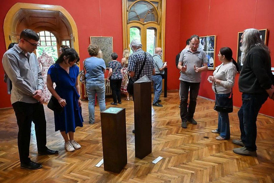 Stručno vođenje kroz izložbu "Prisustvo Pečuj"
