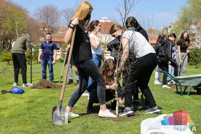 Dvorište OŠ "Sonja Marinković" bogatije za 20 sadnica