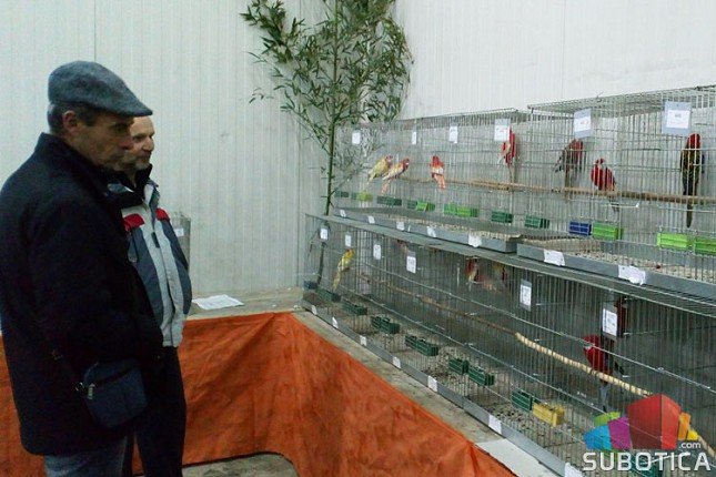 Udruženje odgajivača sitnih životinja tradicionalnom izložbom proslavilo jubilej