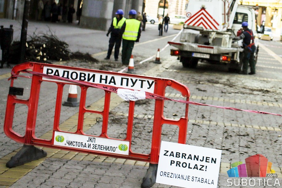 "Čistoća" u ponedeljak počinje orezivanje stabala