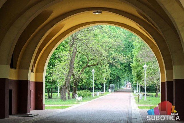 Od sledeće nedelje na Paliću počinje orezivanje i uklanjanje suvih stabala