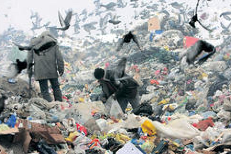 Dobitak sa đubrišta