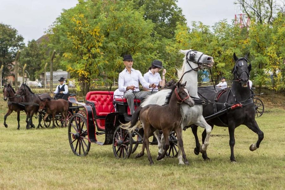 Novožednička fijakerijada slavi 20 godina tradicije