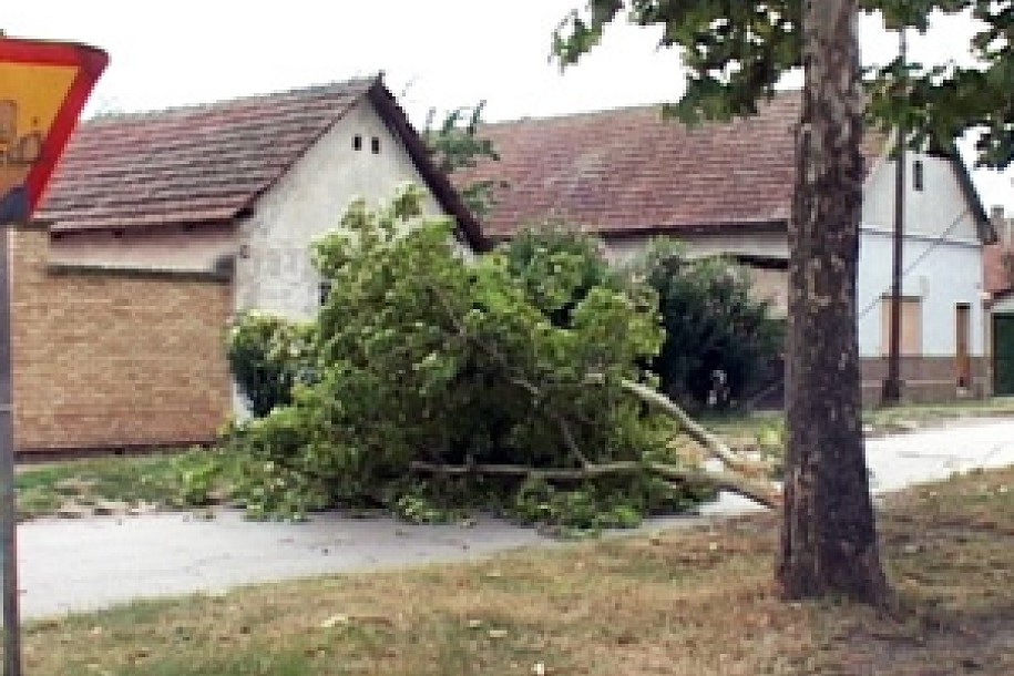 Olujni vetar rušio grane