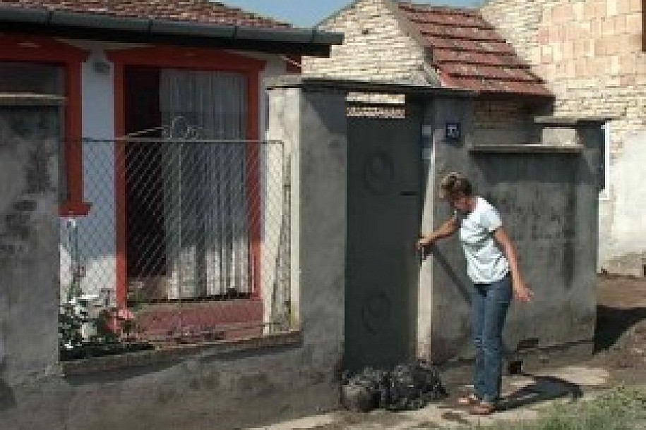 Problem stanovnika Banatske ulice