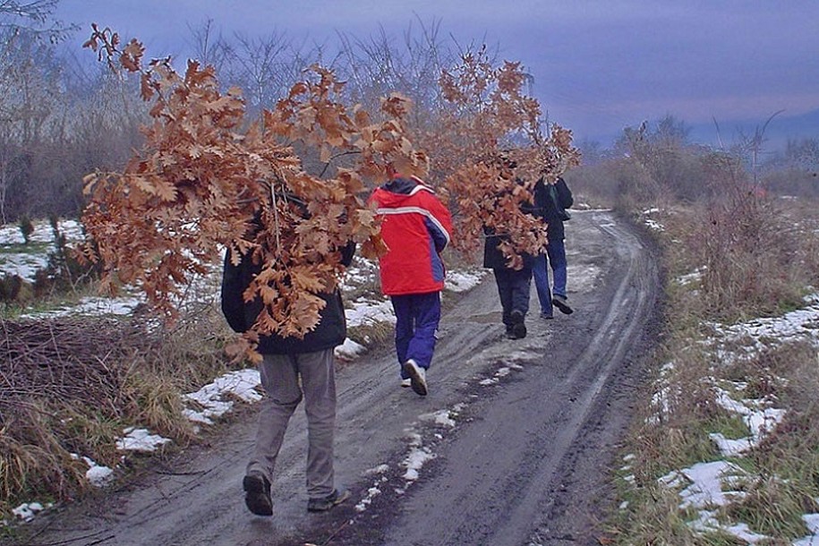 Doviđenja, badnjače... do sledeće godine!