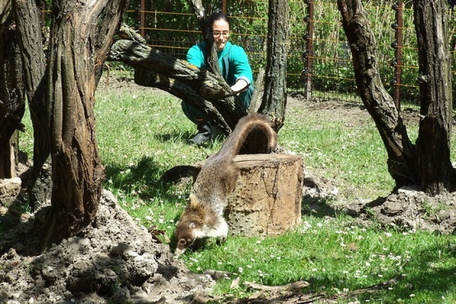 Novosti iz Zoološkog vrta