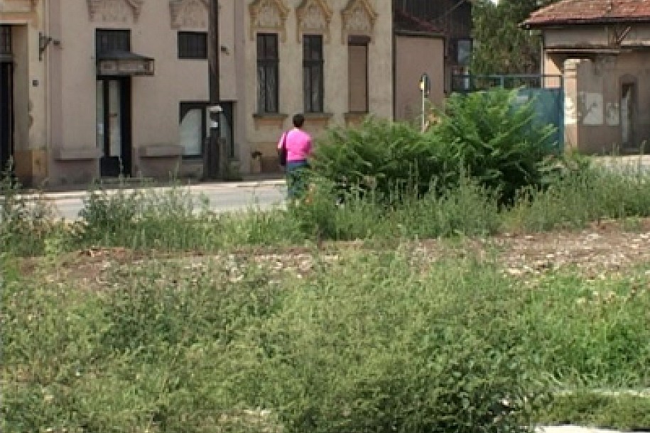 Da se zna ko kosi, a ko ne kosi