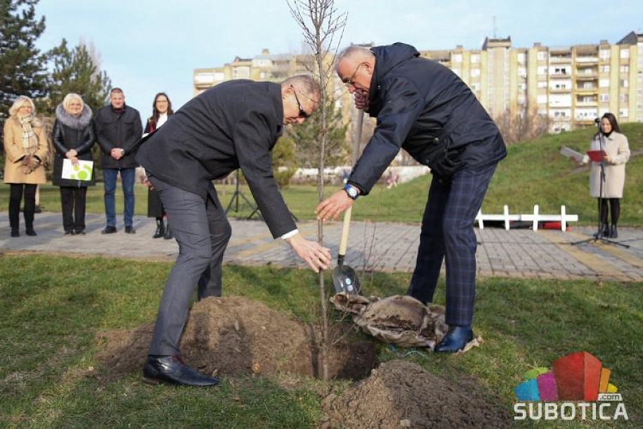 Park na Prozivci bogatiji za novo drveće