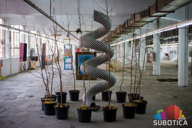 U "Solidu" se ponovo čuje zveckanje potpetica