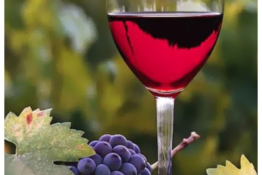 Dan mladog vina na Paliću