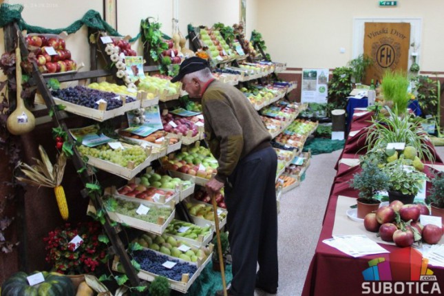 "Berbanski dani" u Hajdukovu za vikend