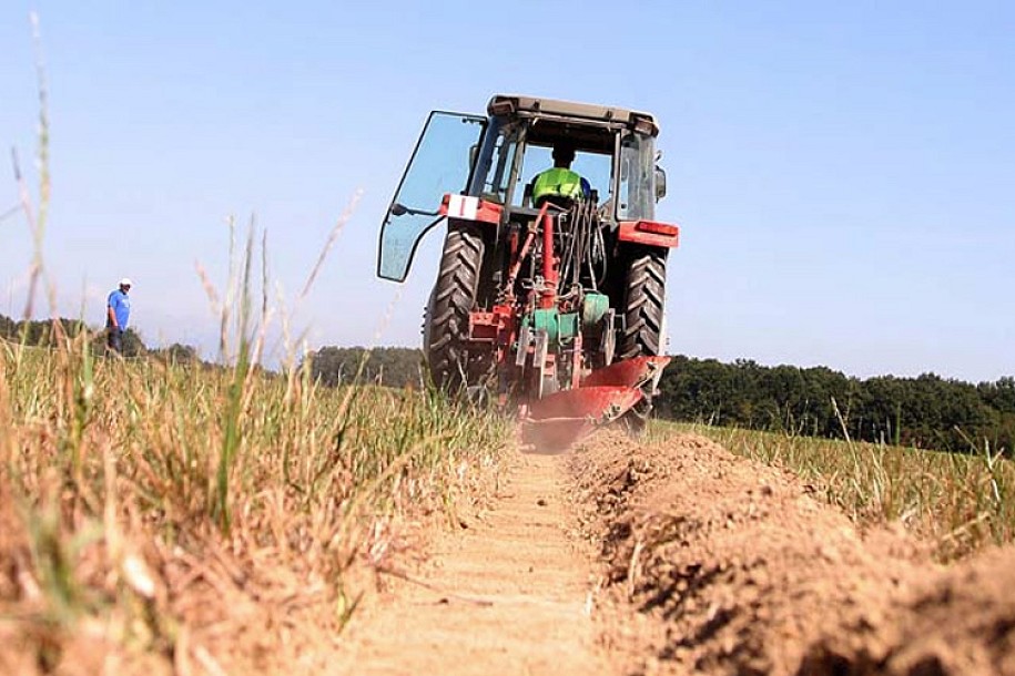 Subotičani oru drumove i trgove