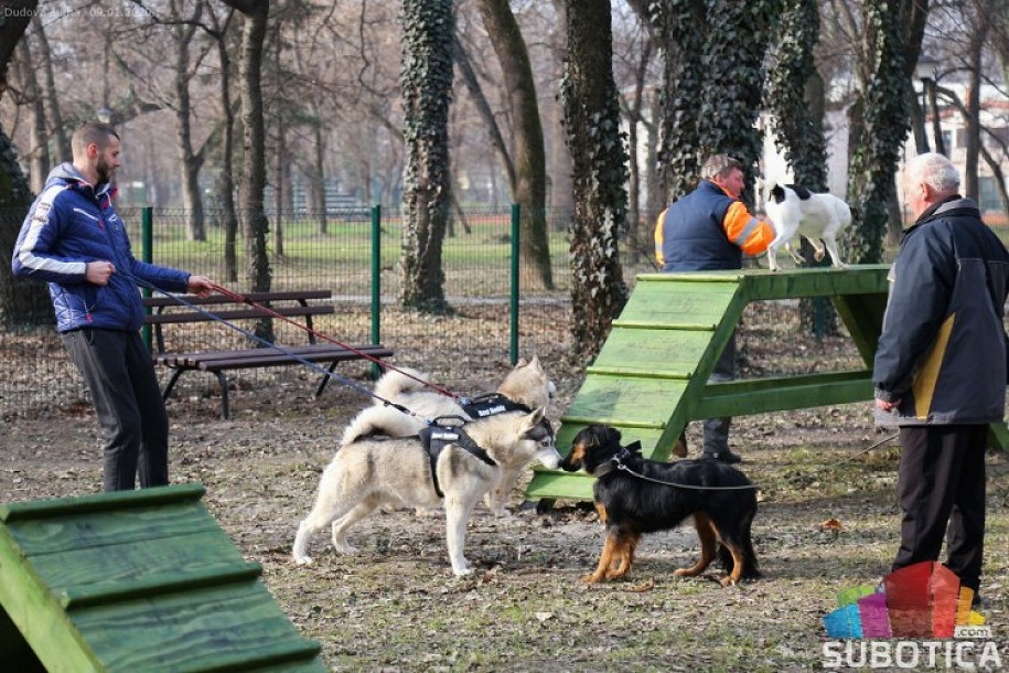 Otvoreni parkovi za pse u Dudovoj šumi i na Prozivci