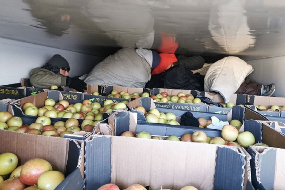 Migranti u hladnjači punoj jabuka
