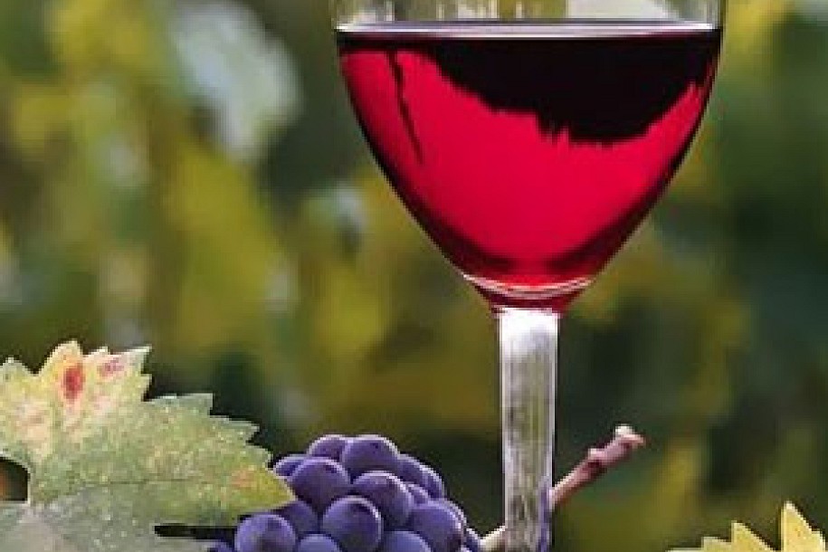 Dan mladog vina sutra na Paliću