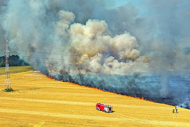 Sačuvajmo zemljište za buduće generacije, ne spaljujte biljne ostatke!
