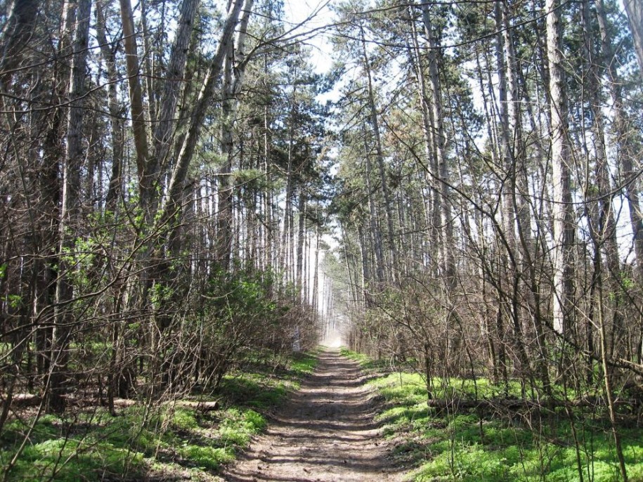 3. kolo Vojvođanske treking lige