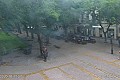 Gradski trg - korzo