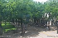 Gradski trg - korzo