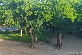 Gradski trg - korzo