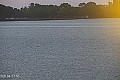 Palić - jezero