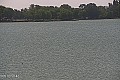 Palić - jezero