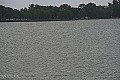 Palić - jezero