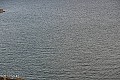 Palić - jezero