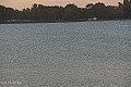 Palić - jezero