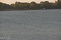 Palić - jezero