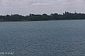 Palić - jezero