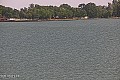 Palić - jezero