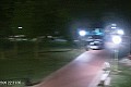 Palić - jezero