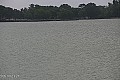 Palić - jezero