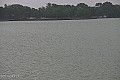 Palić - jezero
