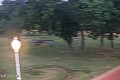Palić - jezero