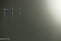 Palić - jezero