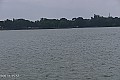 Palić - jezero