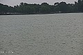 Palić - jezero