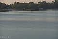 Palić - jezero